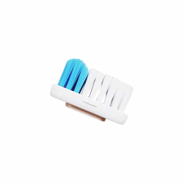 Têtes de recharge brosse à dents (x3) - Lamazuna
