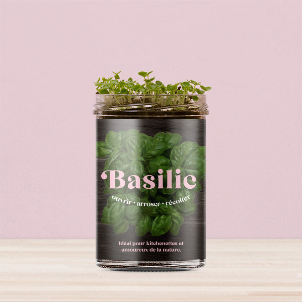 Kit de culture Basilic – Potager de cuisine