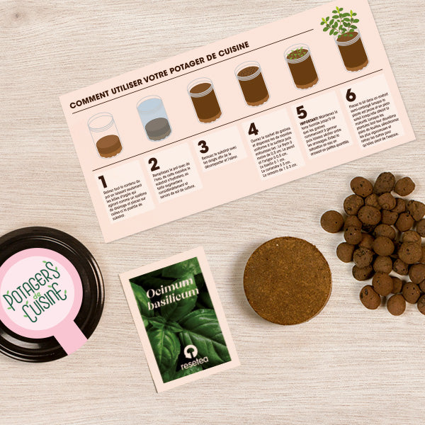 Kit de culture Basilic – Potager de cuisine