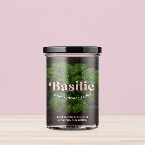 Kit de culture Basilic – Potager de cuisine