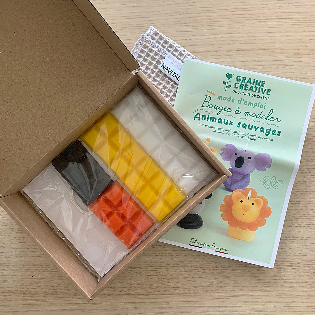 Kit bougies à modeler : Animaux sauvages