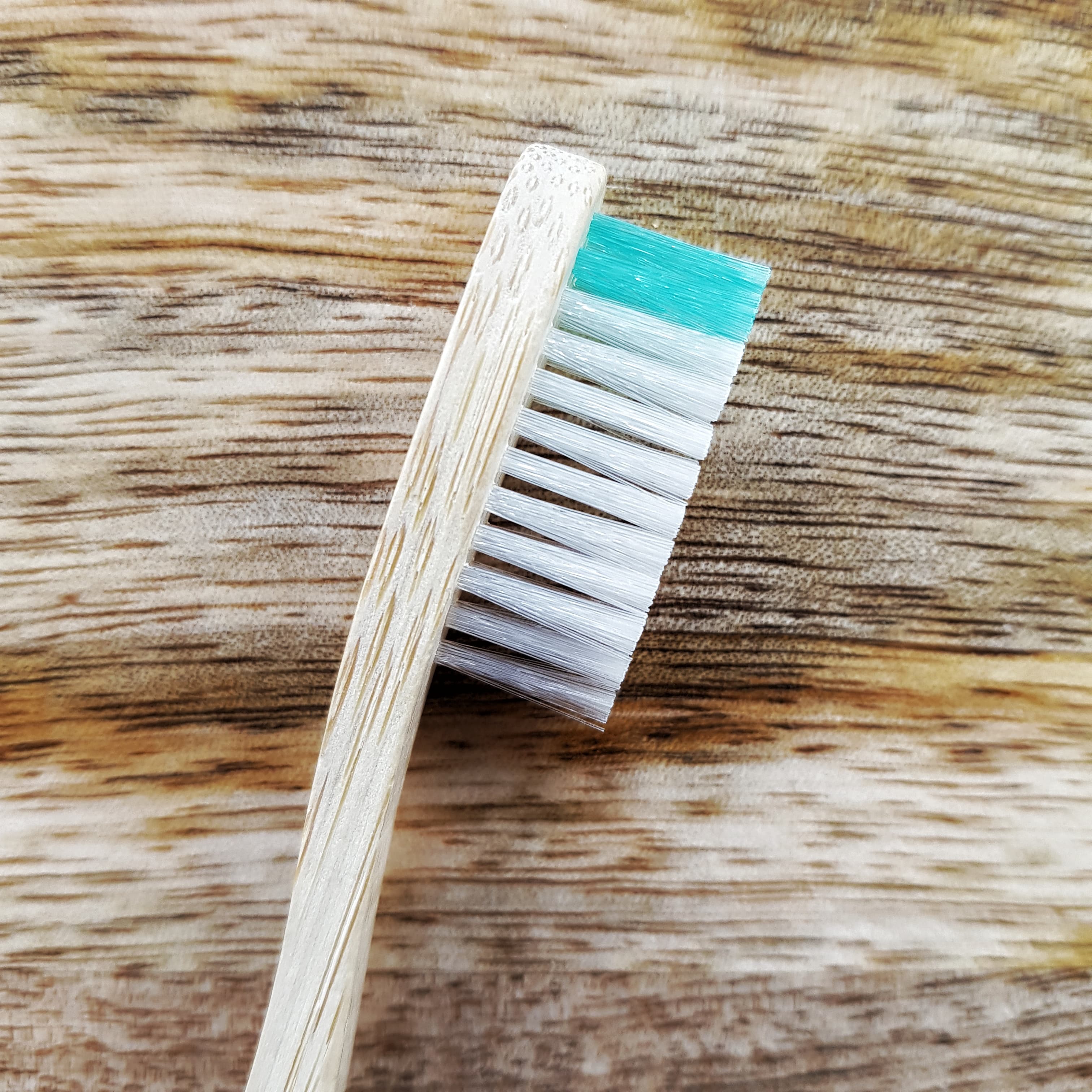 Brosse à dents en bambou compostable