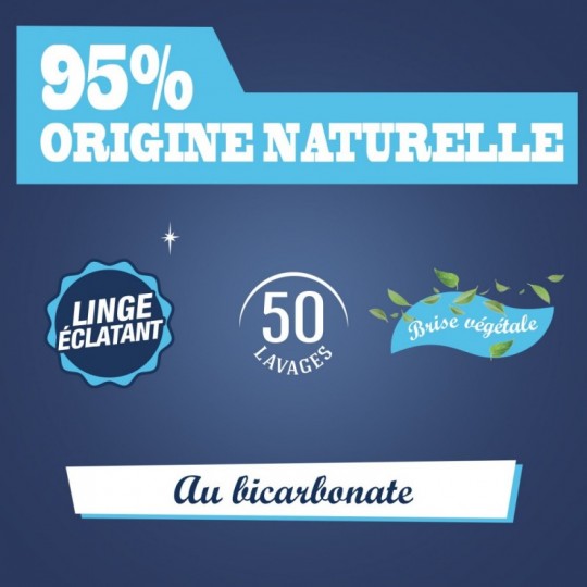 Lessive Liquide au Bicarbonate – 50 Lavages – 2,27 L BRIOCHIN