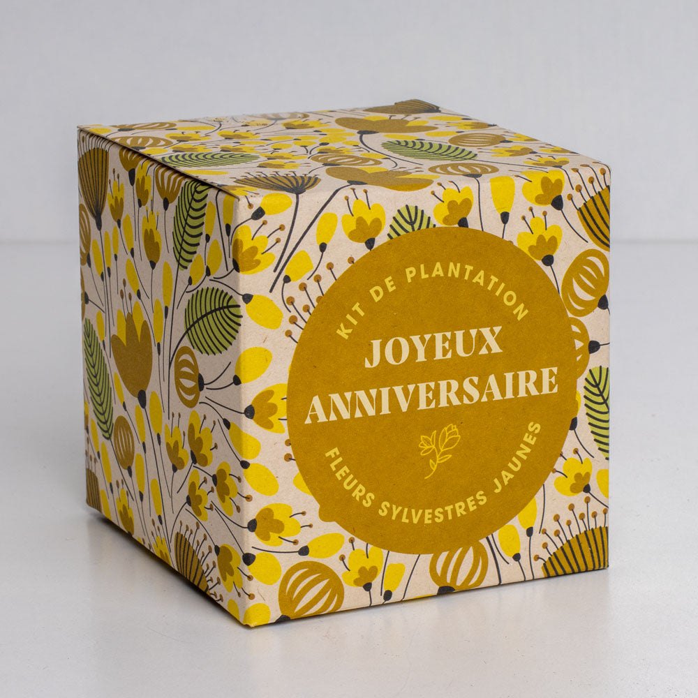 Kit de culture Dites-le avec des fleurs « Joyeux Anniversaire »