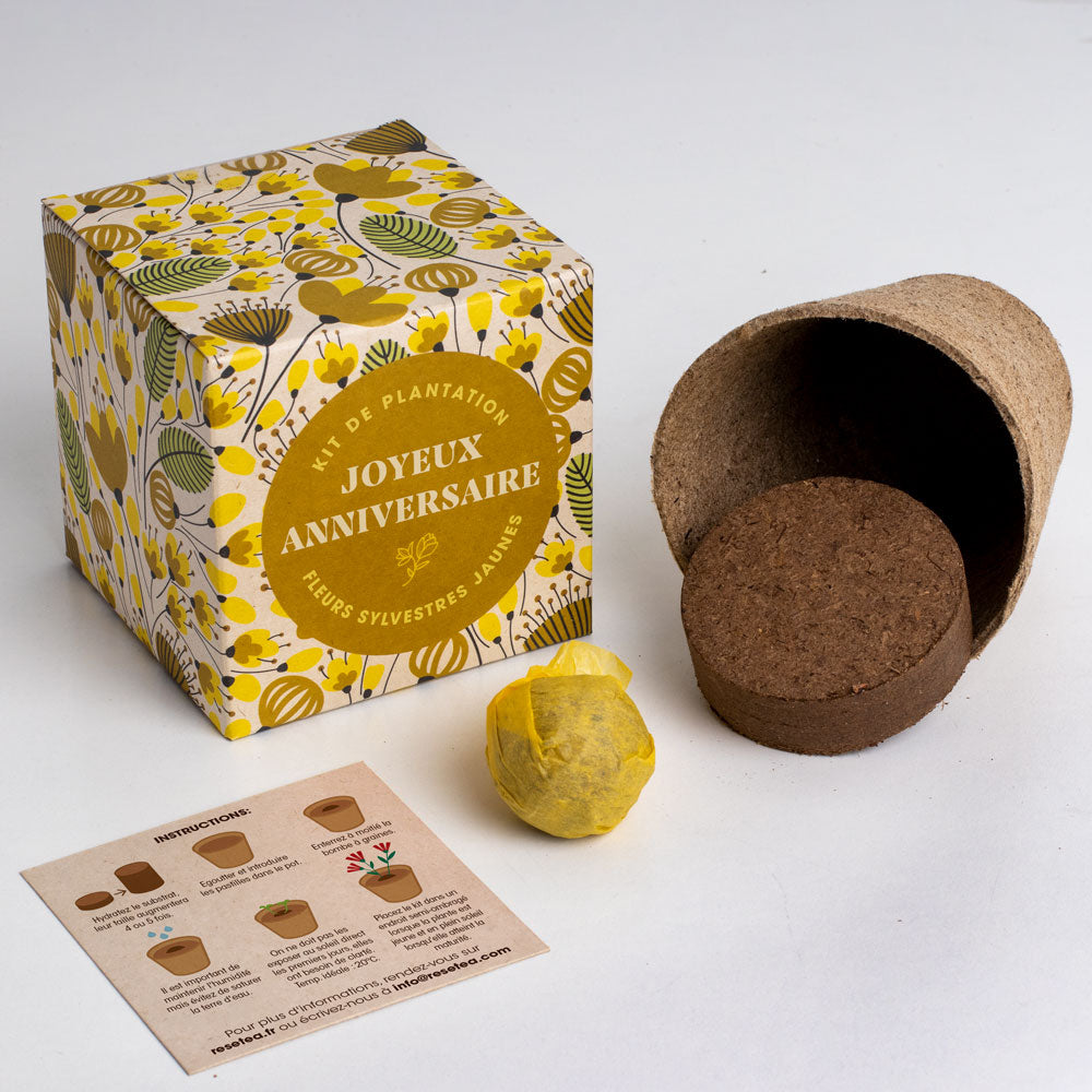 Kit de culture Dites-le avec des fleurs « Joyeux Anniversaire »