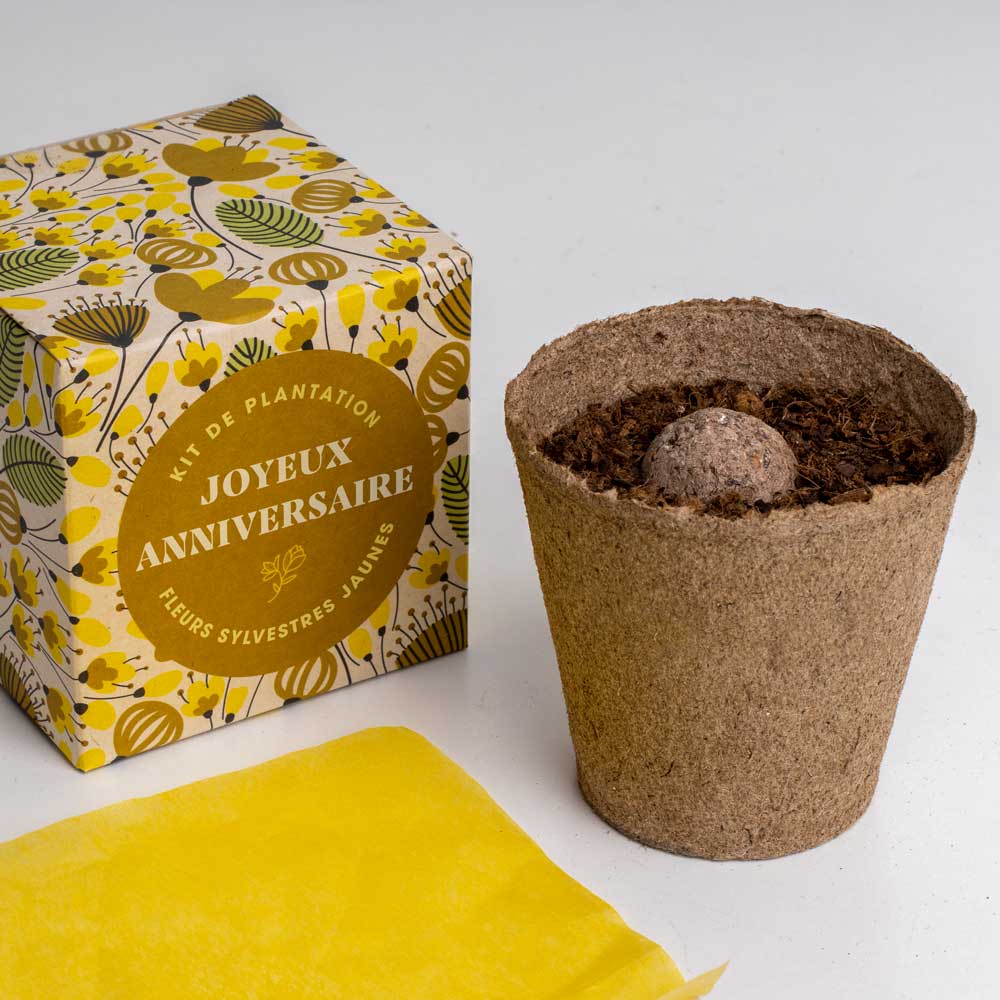 Kit de culture Dites-le avec des fleurs « Joyeux Anniversaire »