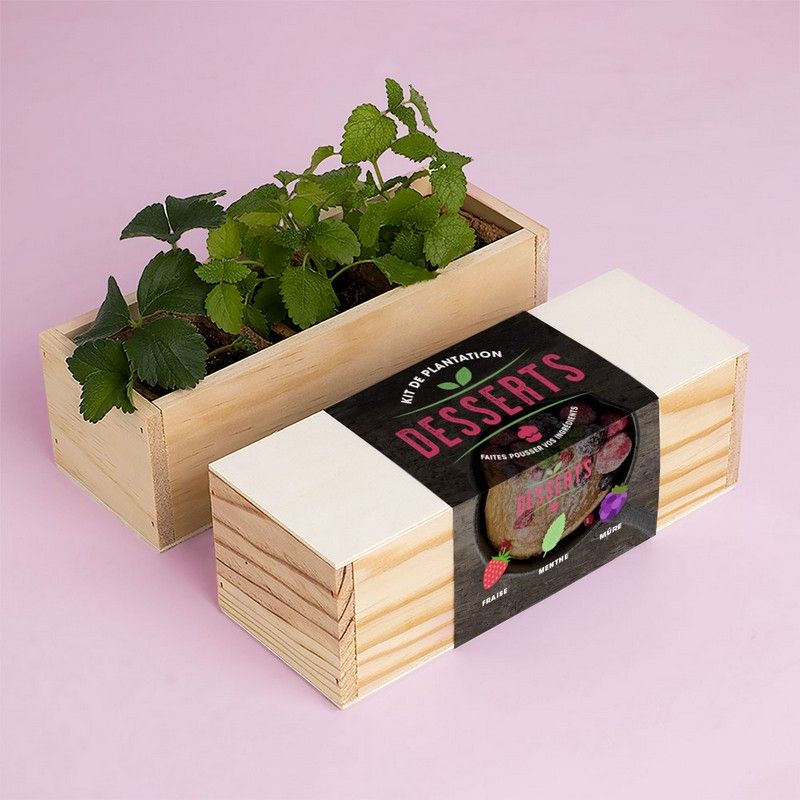 Kit de culture Desserts – Fraise, Menthe et Mûre