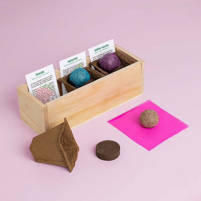 Kit de culture Desserts – Fraise, Menthe et Mûre