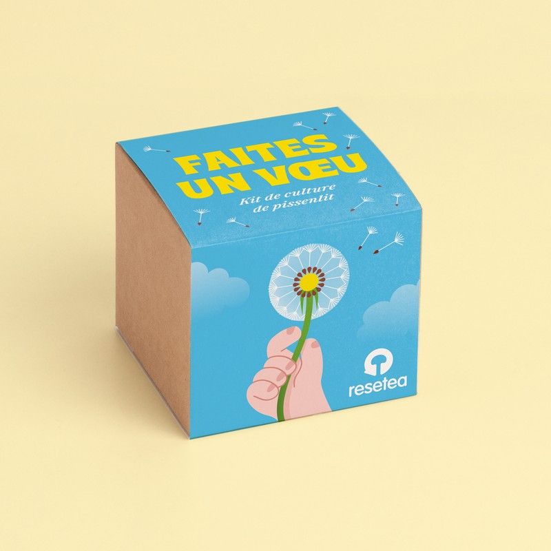 Kit de culture Faites un vœu – Pissenlit