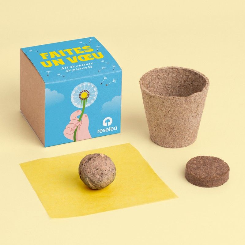 Kit de culture Faites un vœu – Pissenlit