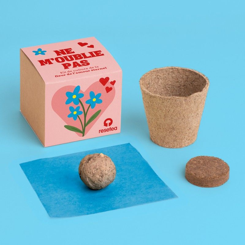 Kit de culture Ne m'oublie pas – Fleur de l'amour éternel