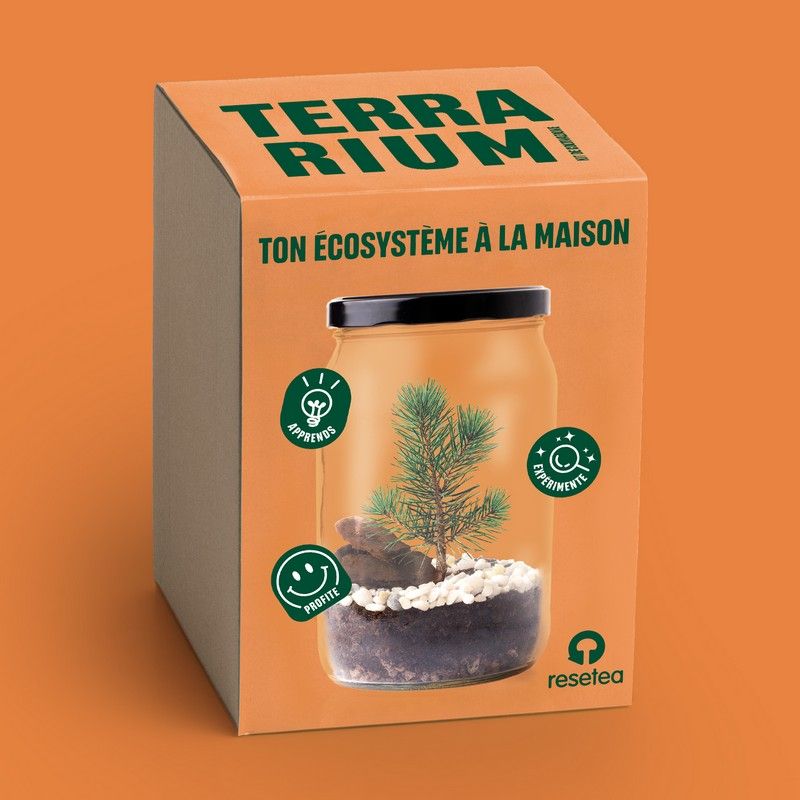 Kit de Culture Terrarium Pin