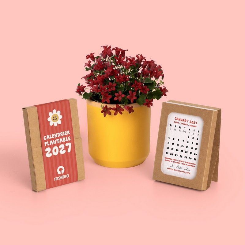 Calendrier à planter 2027 – Graines de fleurs sauvages