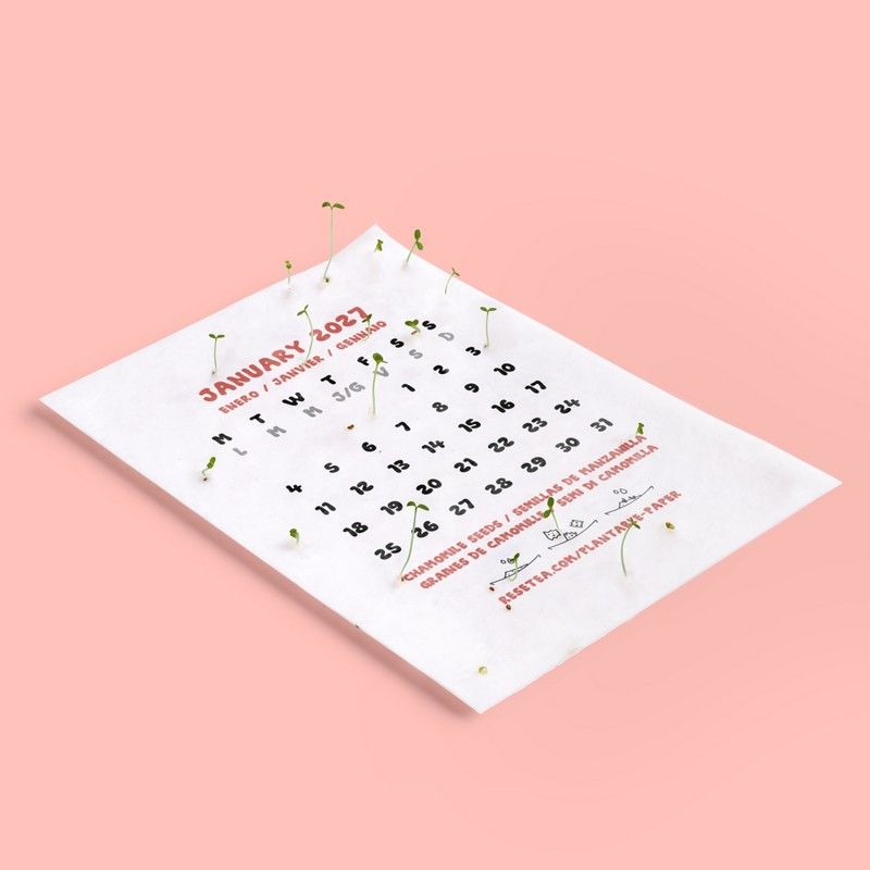 Calendrier à planter 2027 – Graines de fleurs sauvages