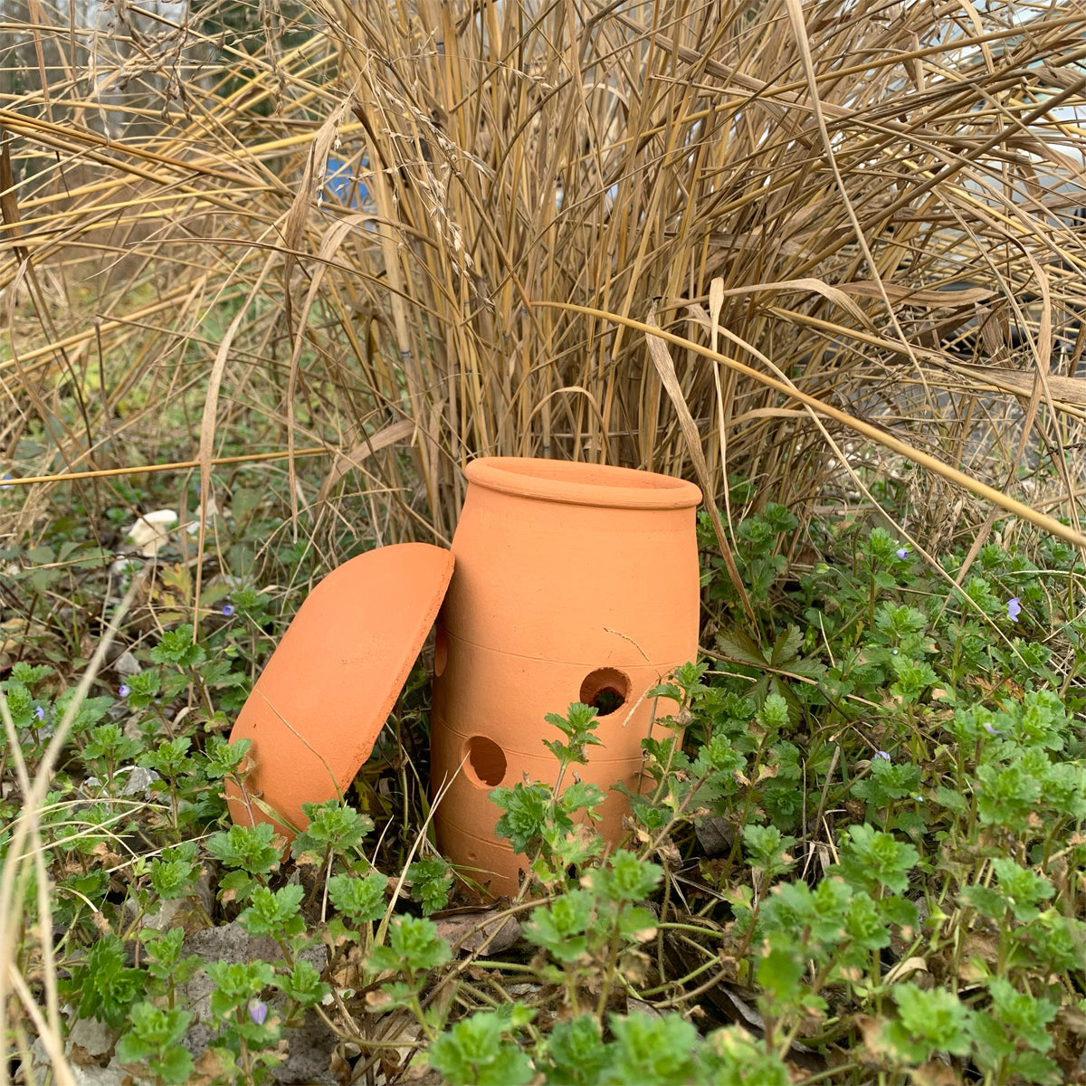Lombricomposteur à enterrer -  0,8 L