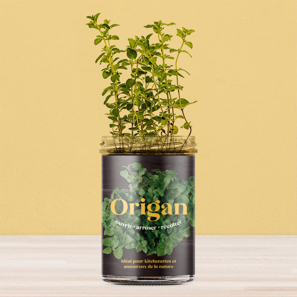 Kit de culture Origan – Potager de cuisine