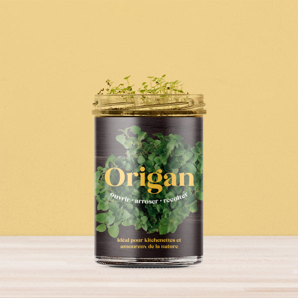 Kit de culture Origan – Potager de cuisine