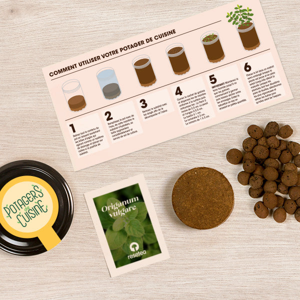Kit de culture Origan – Potager de cuisine