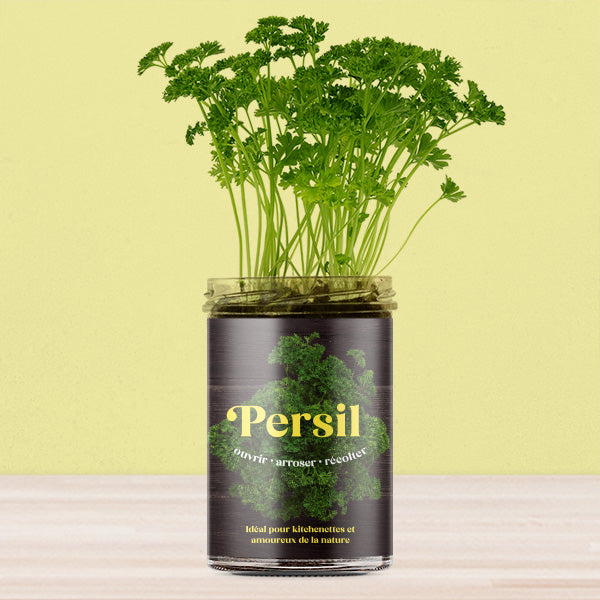 Kit de culture Persil – Potager de cuisine