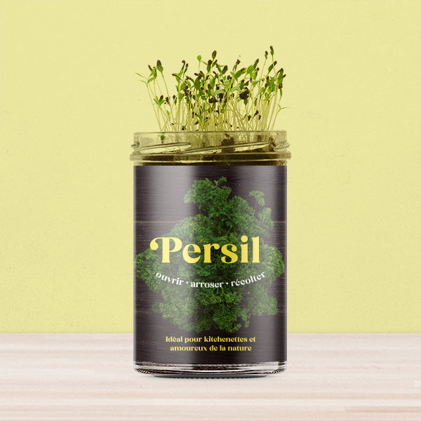 Kit de culture Persil – Potager de cuisine