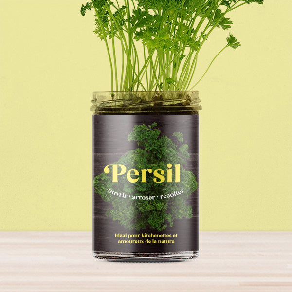Kit de culture Persil – Potager de cuisine