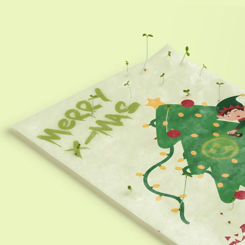 Carte de Noël à planter Merry X-Mas – Camomille