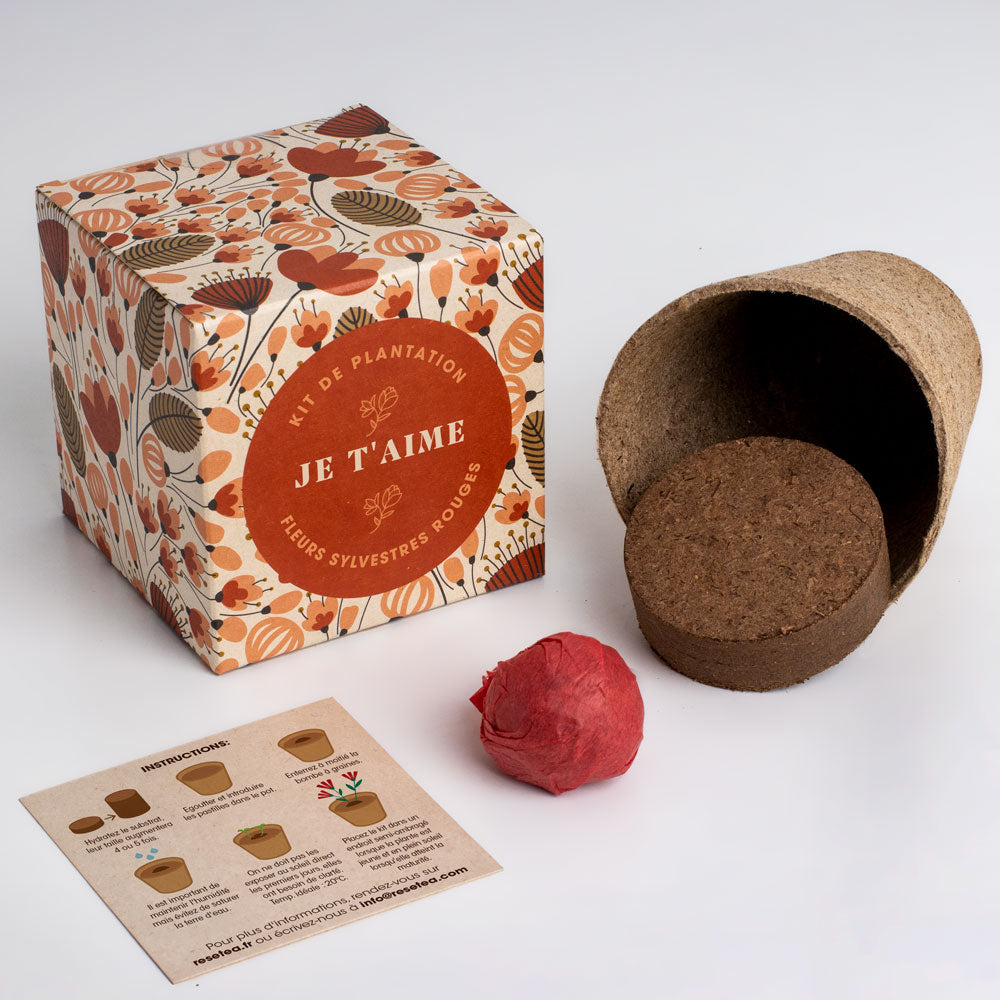 Kit de culture Dites-le avec des fleurs « Je t'aime »
