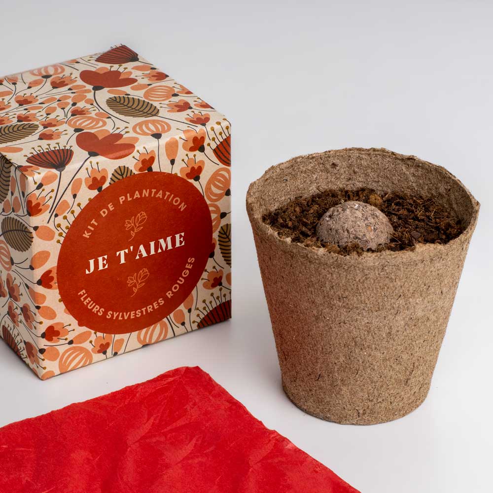 Kit de culture Dites-le avec des fleurs « Je t'aime »