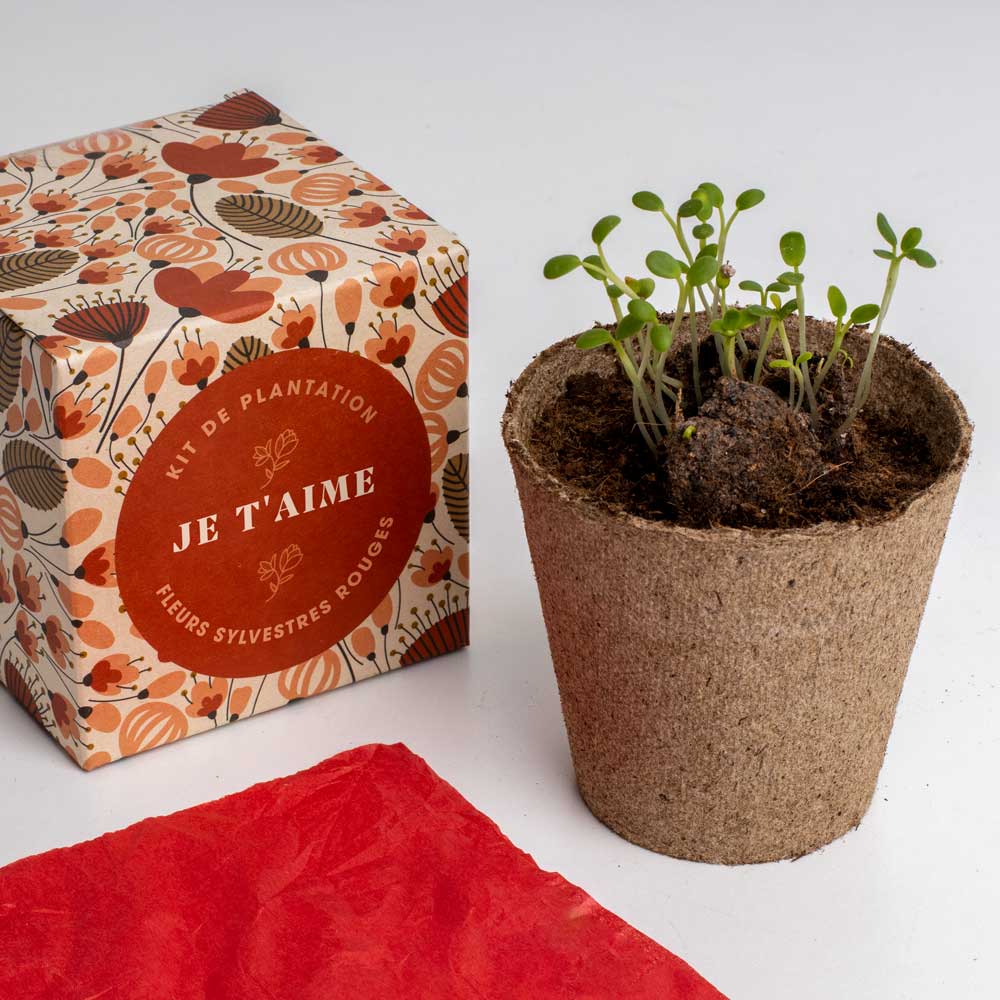Kit de culture Dites-le avec des fleurs « Je t'aime »