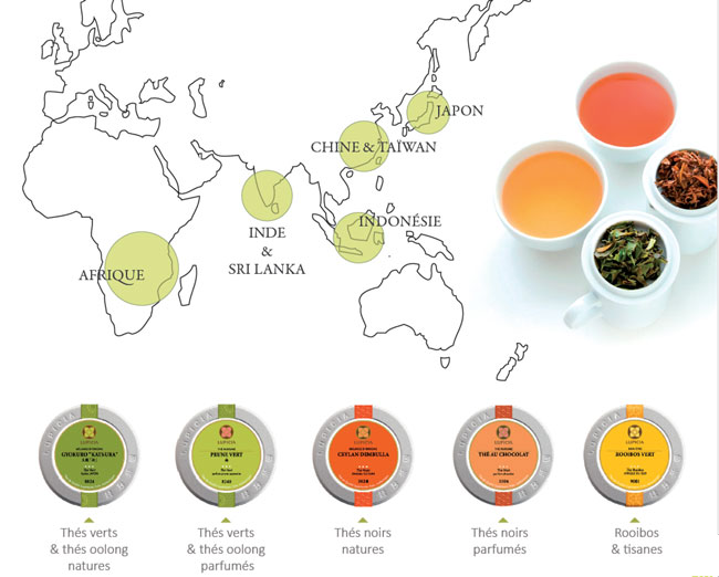 Tout savoir sur le thé noir : préparation, variétés et bienfaits - La  Fourche