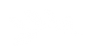 MCEV-nouveau logo-picto B