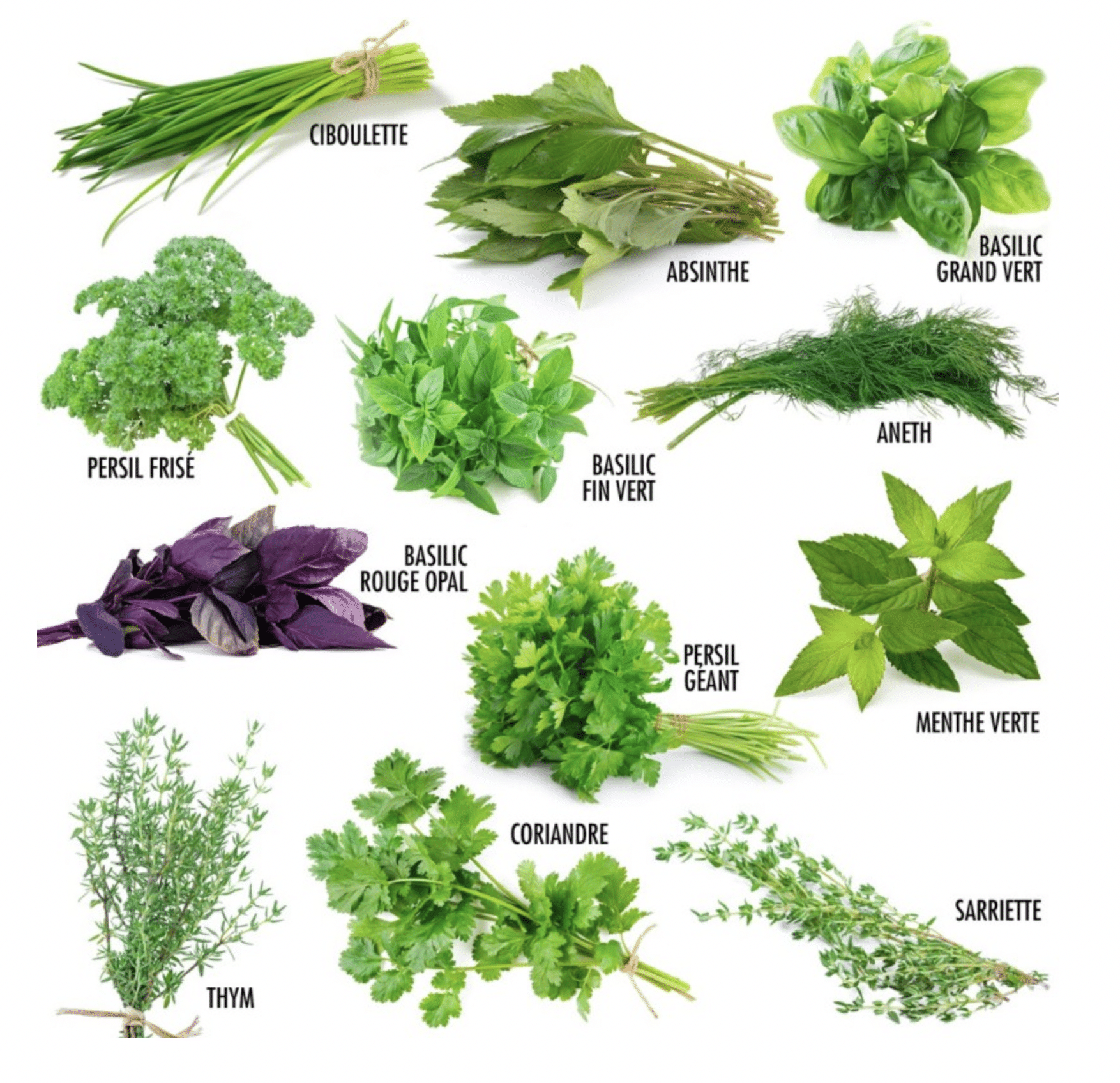 Coffret : Je fais pousser mes 12 légumes insolites - Mes courses en vrac