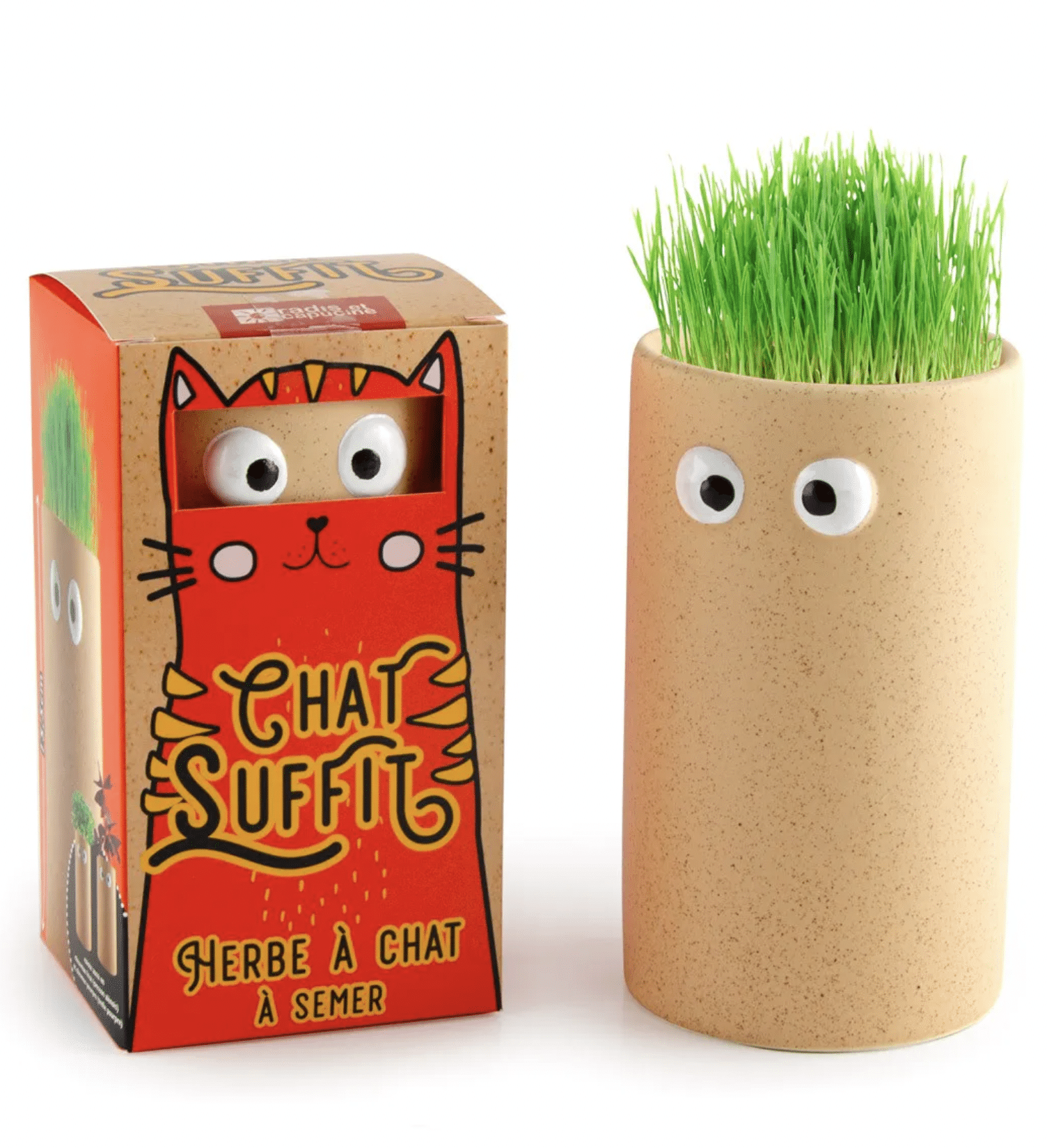 Pot à herbe pour chat