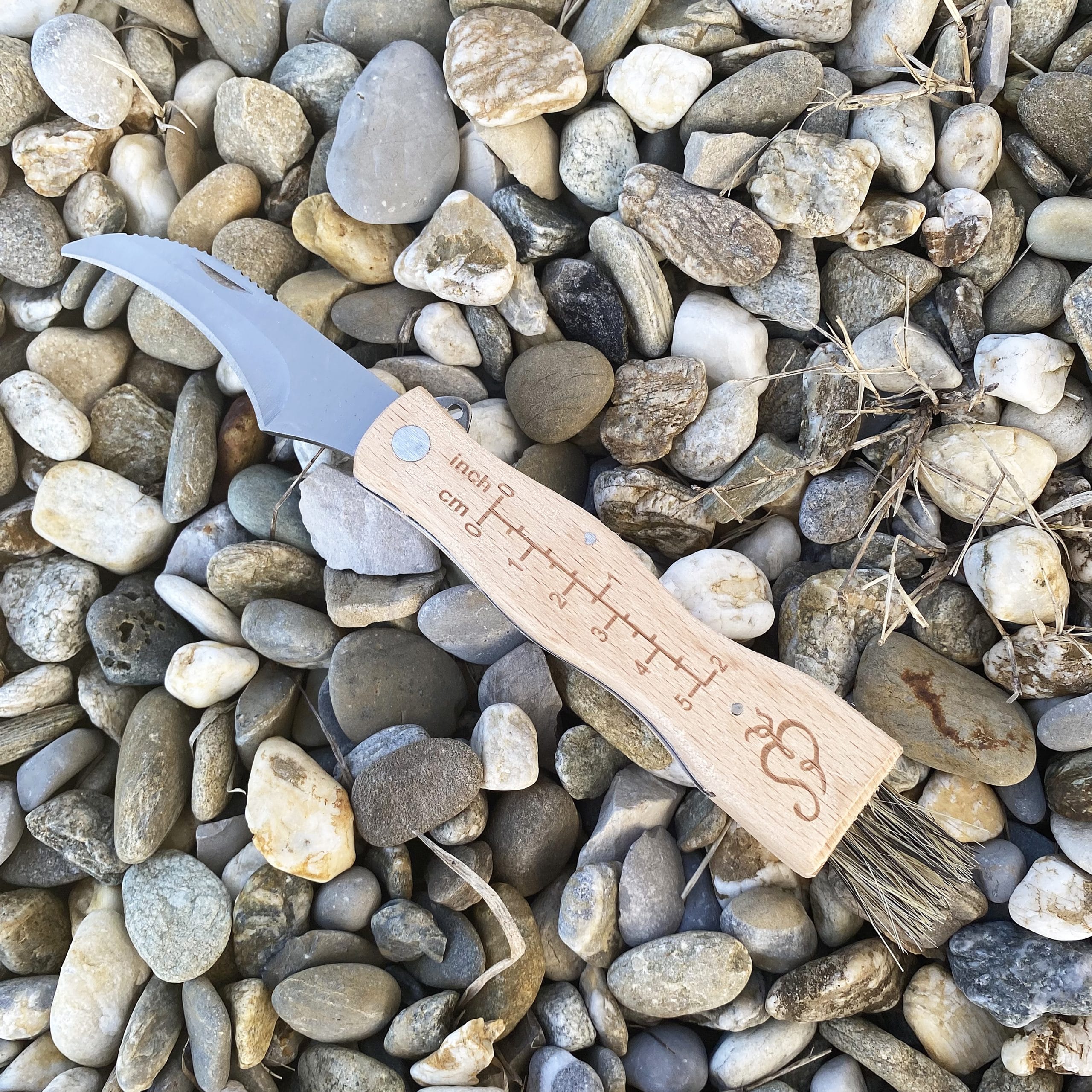 Couteau incurvé à champignons avec manche en bois naturel à brosse non  repliable - La Boutique du Champignon