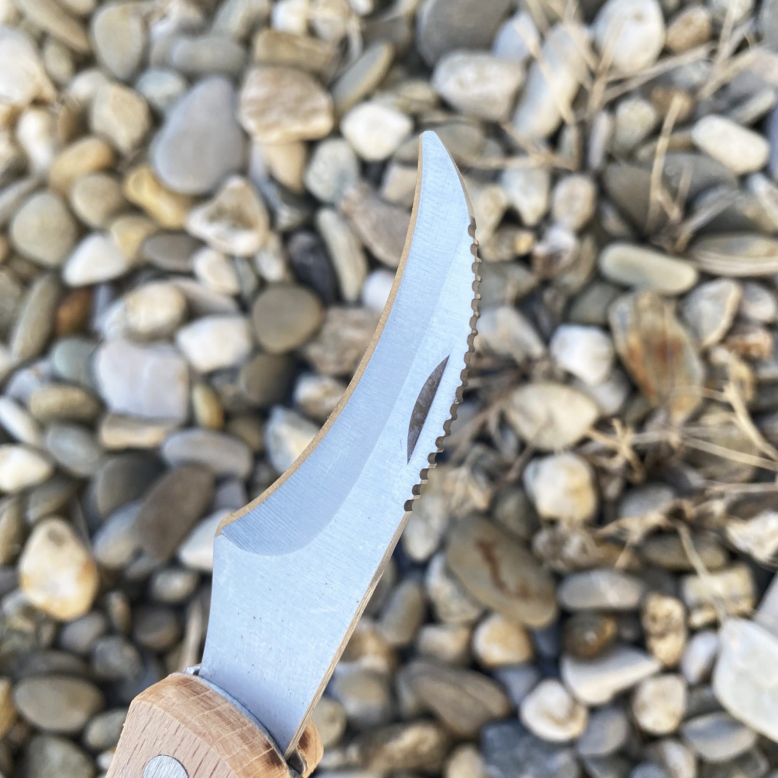 Couteau à champignon avec brosse et cordon