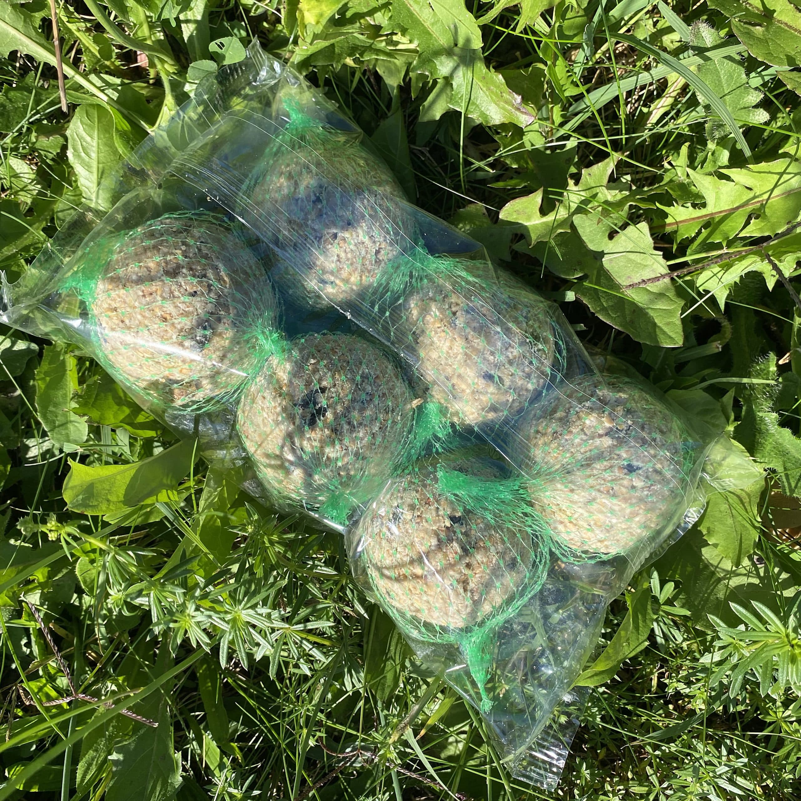 Lot de 8 boules de graisse pour oiseaux Grain de Vie - 720 g