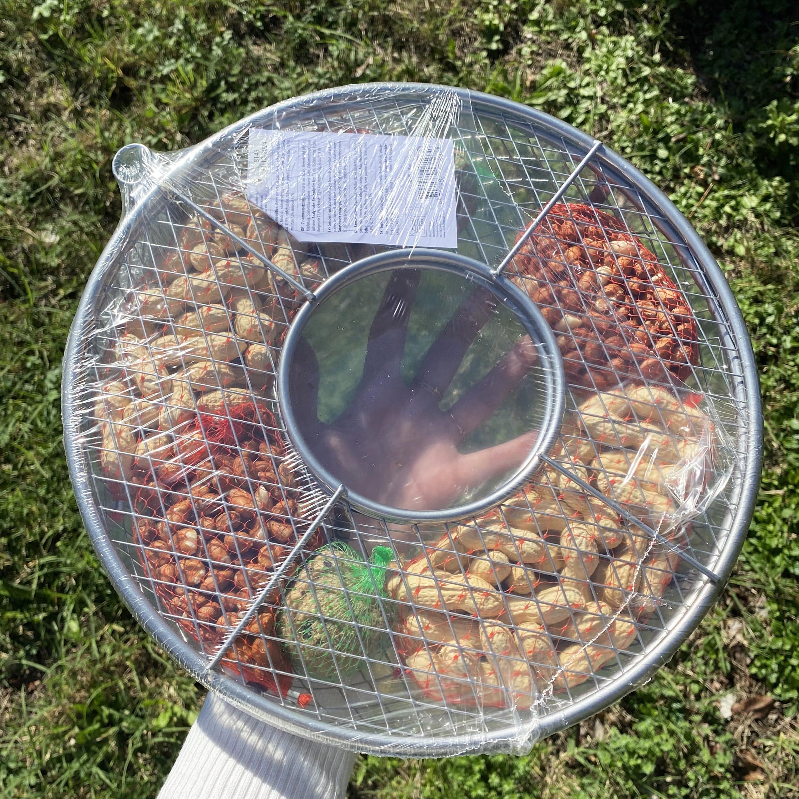 Graine de tournesol pour oiseaux Plein Champ 3 kilos