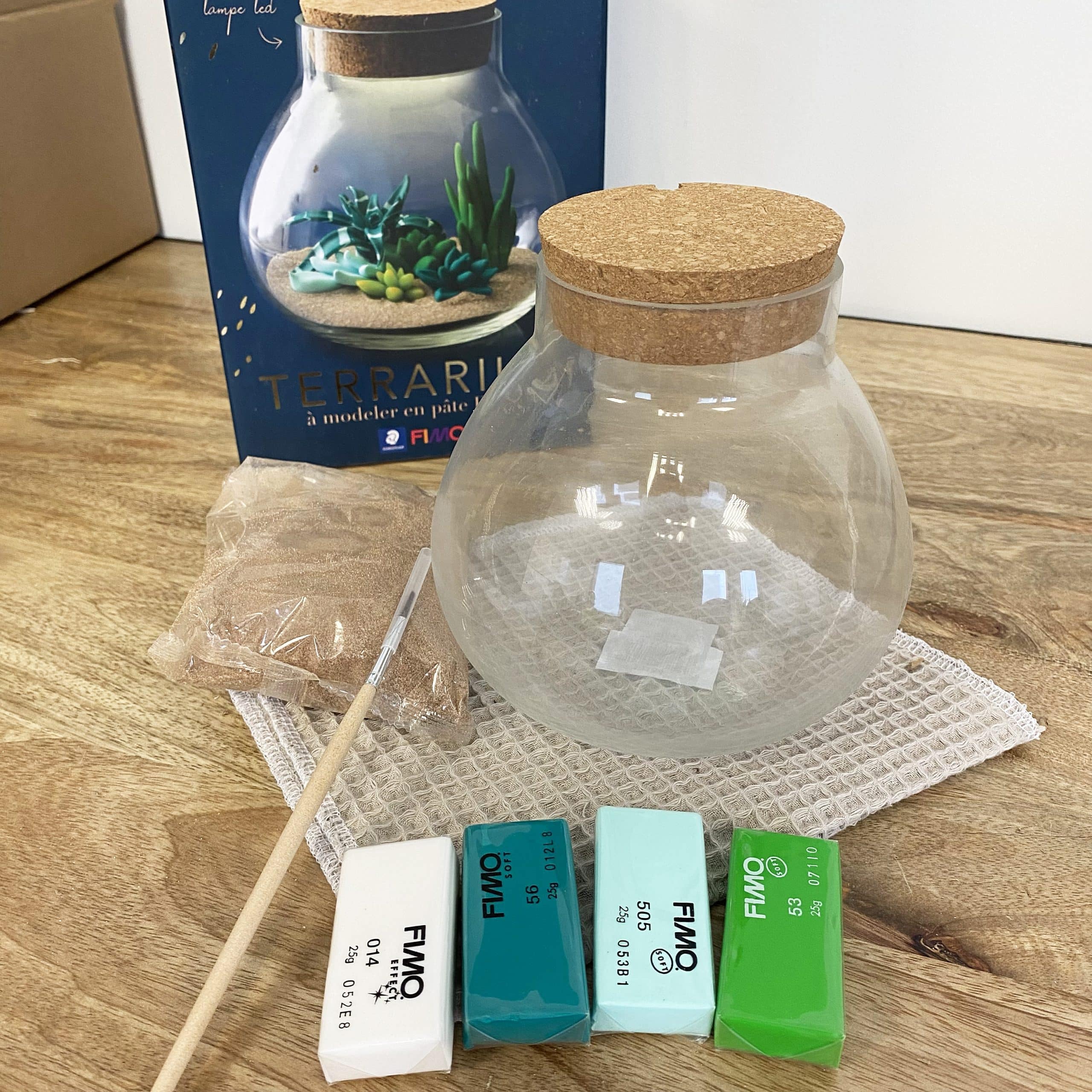 Kit bouteille terrarium / A faire soi-même DIY / 15 litres