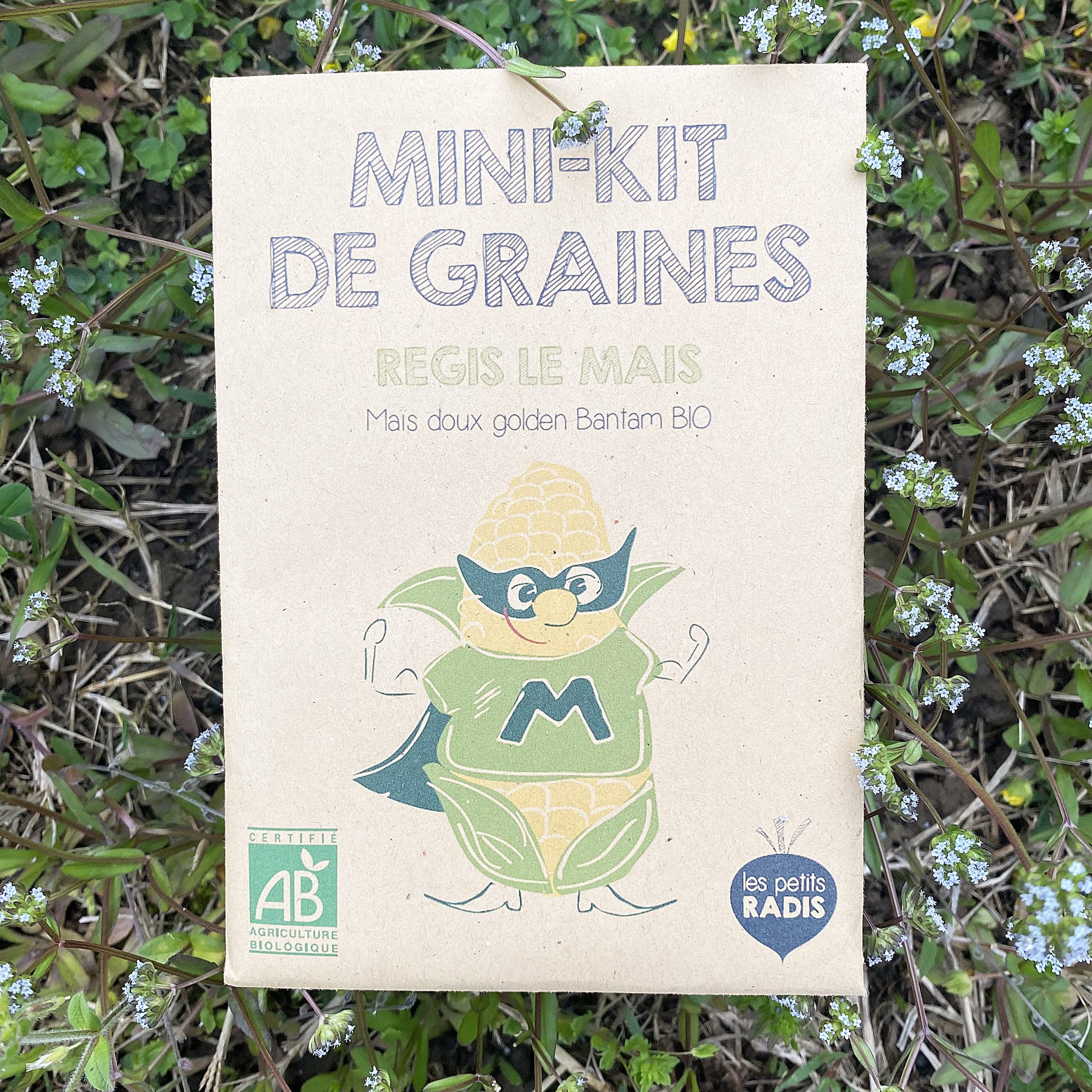 Mini kit de graines bio de Régis le maïs - Les Petits Radis