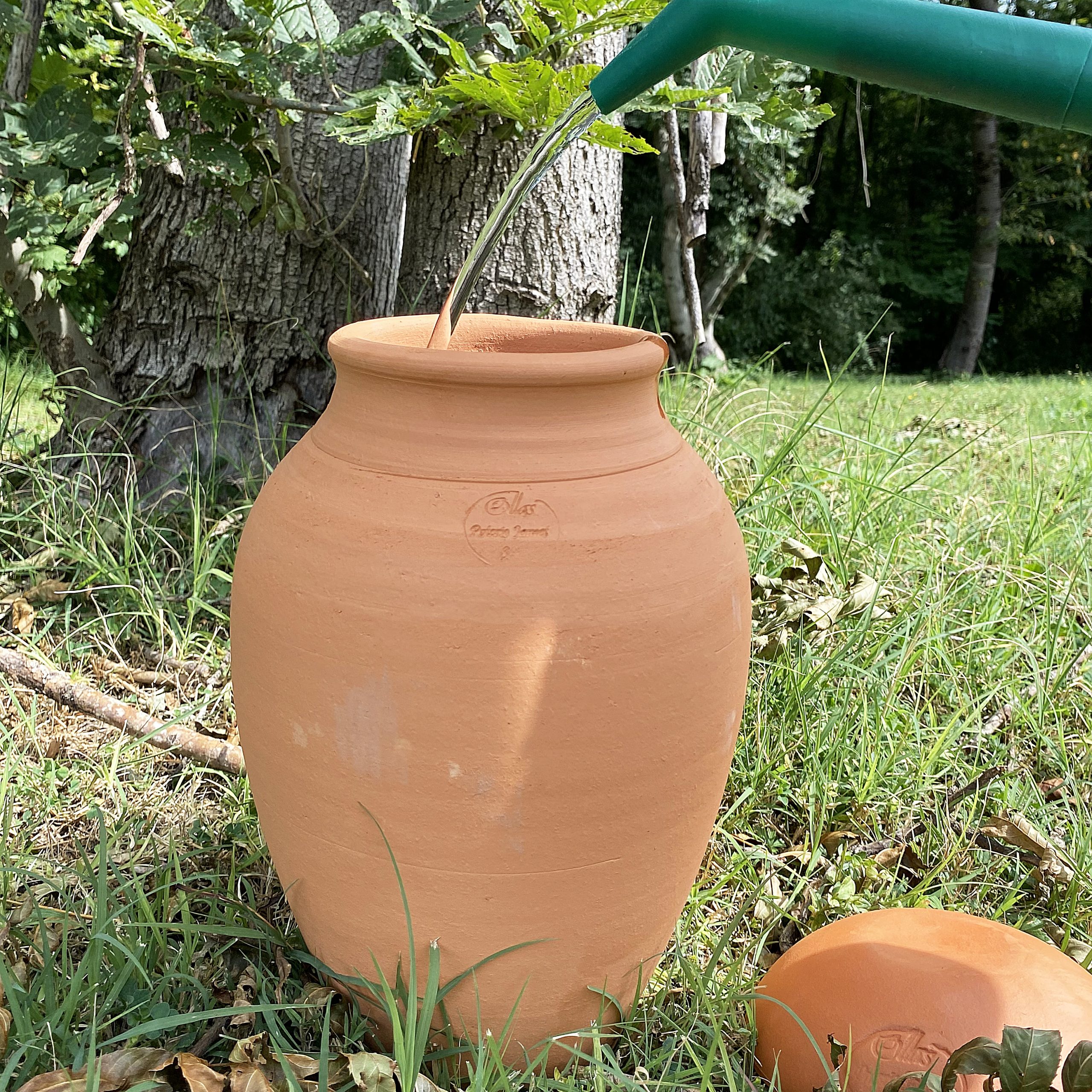 Olla d'arrosage 1,5L - poterie d'irrigation pour plantes, arbustes ou –  Maison Fertile