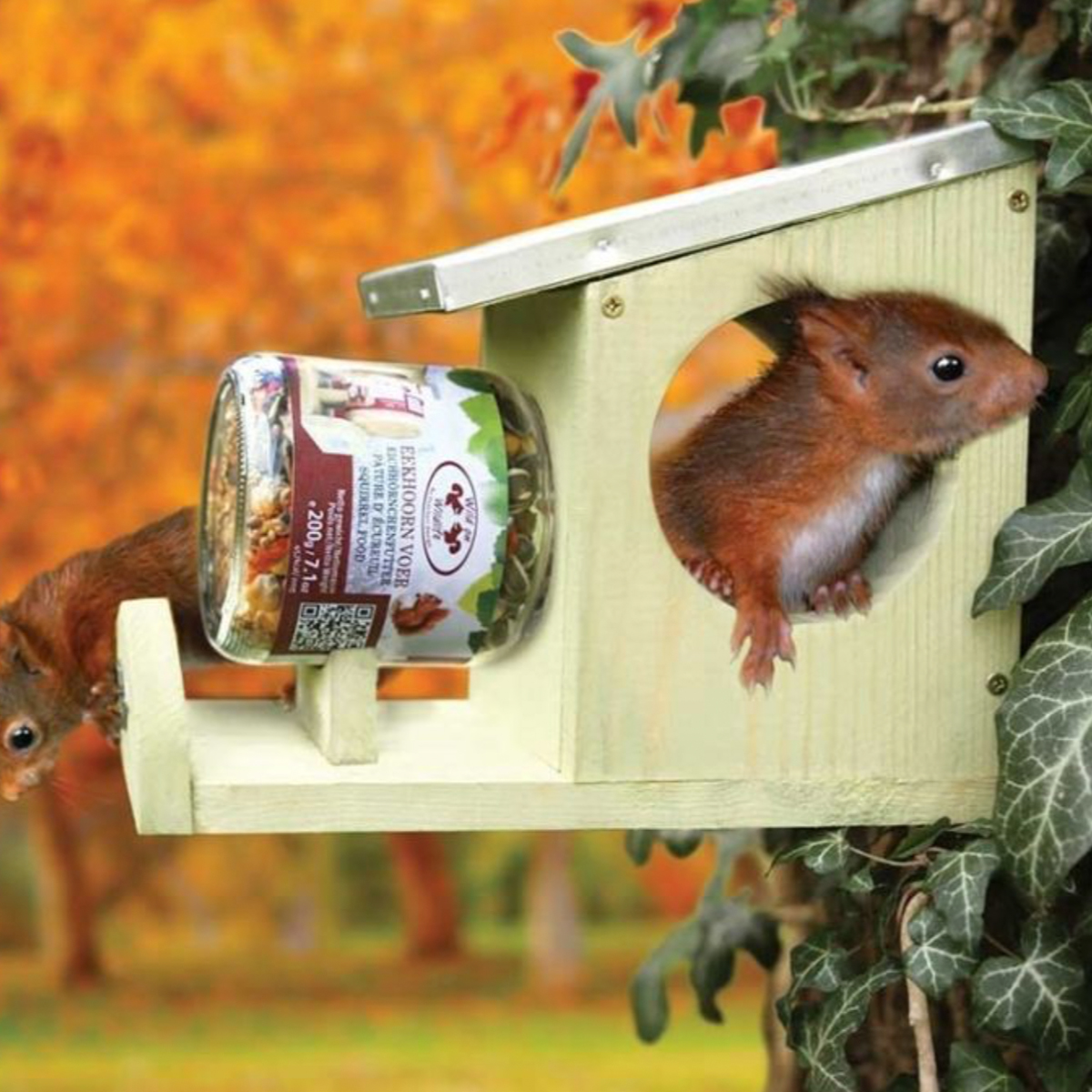 LOLYSIC Mangeoire de pique-nique en bois pour écureuil avec parapluie et  support pour épi de maïs, mangeoires pour écureuils pour l'extérieur :  : Terrasse et Jardin