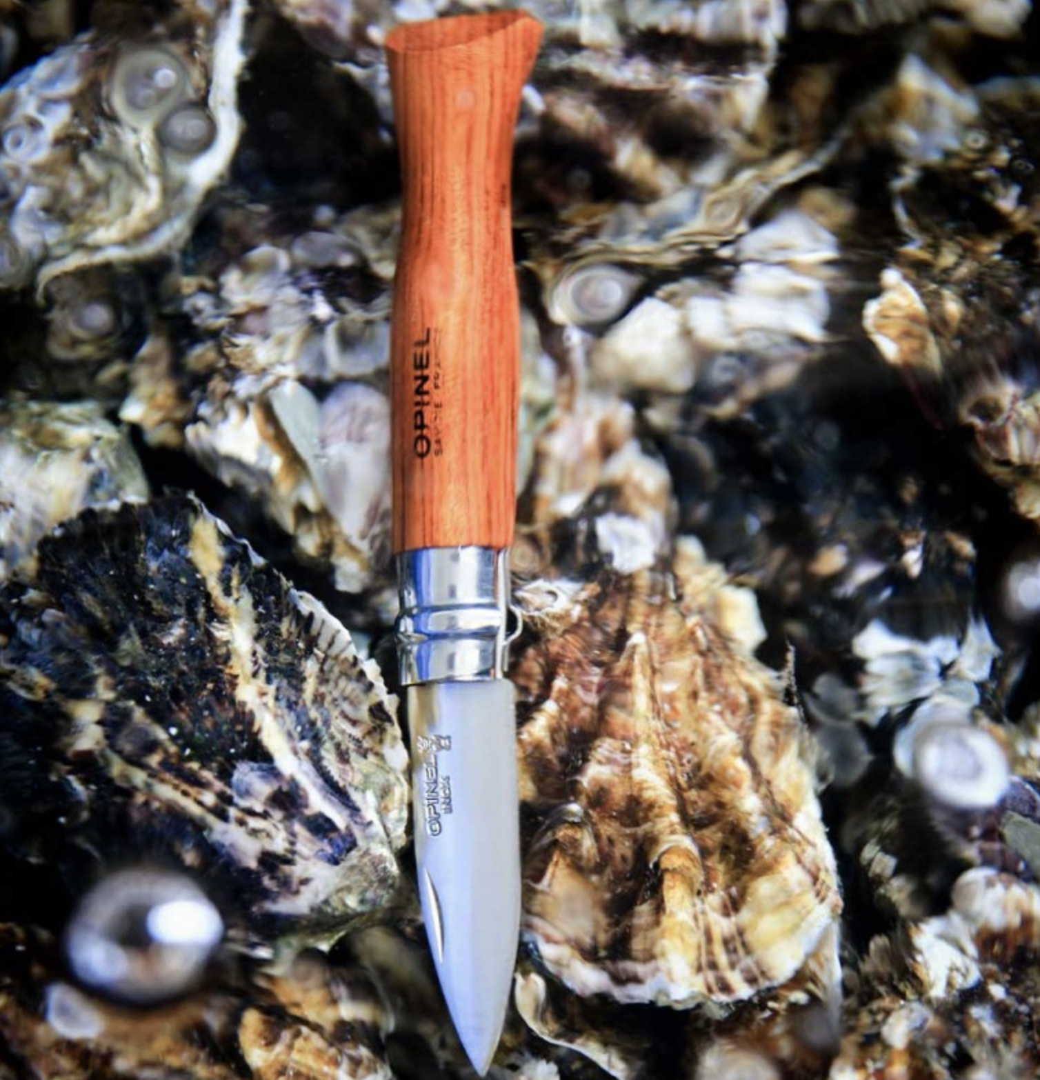 Couteau à huîtres et coquillages Opinel
