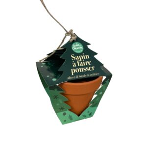 Kit de plantation Sapin de Noël