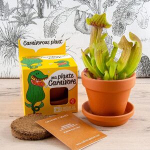 Kit de culture plante carnivore aves son contenant